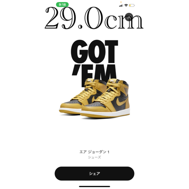 nike air jordan 1 pollen エアジョーダン 1