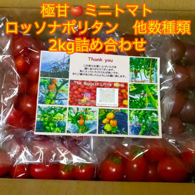 極甘🍅2kgミニトマト詰め合わせ 食品/飲料/酒の食品(野菜)の商品写真