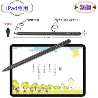 iPad専用　タッチペン(その他)