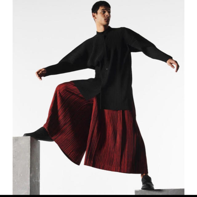 PLEATS PLEASE ISSEY MIYAKE(プリーツプリーズイッセイミヤケ)のHomme plisse ISSEY MIYAKE 19/20AW  メンズのパンツ(スラックス)の商品写真