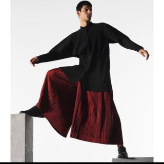 プリーツプリーズイッセイミヤケ(PLEATS PLEASE ISSEY MIYAKE)のHomme plisse ISSEY MIYAKE 19/20AW (スラックス)