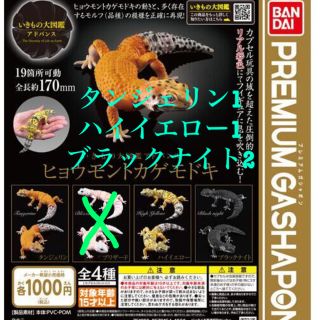 バンダイ(BANDAI)のいきもの大図鑑　ヒョウモントカゲモドキ　4体(その他)