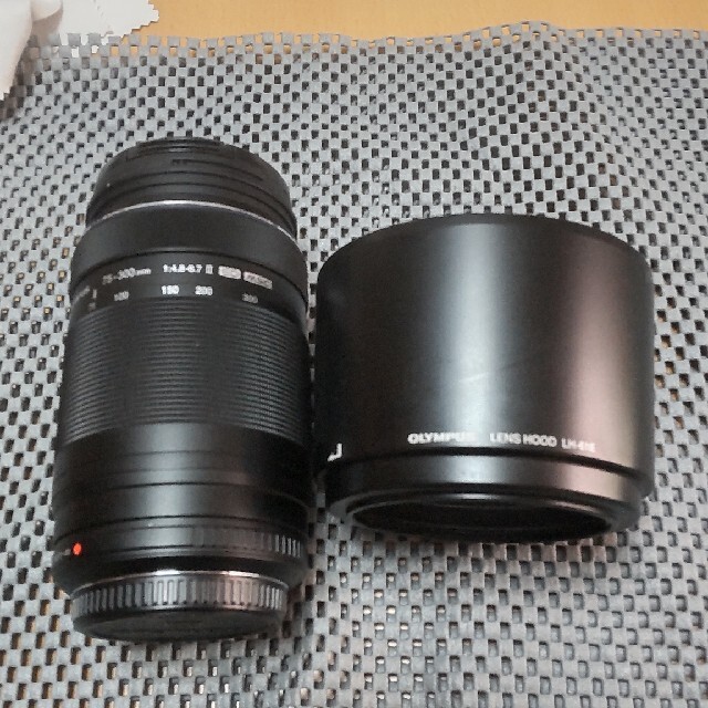 オリンパス 75-300mm F4.8-6.7 II 卸売 www.gold-and-wood.com