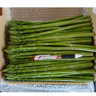 細アスパラガス 1kg(野菜)