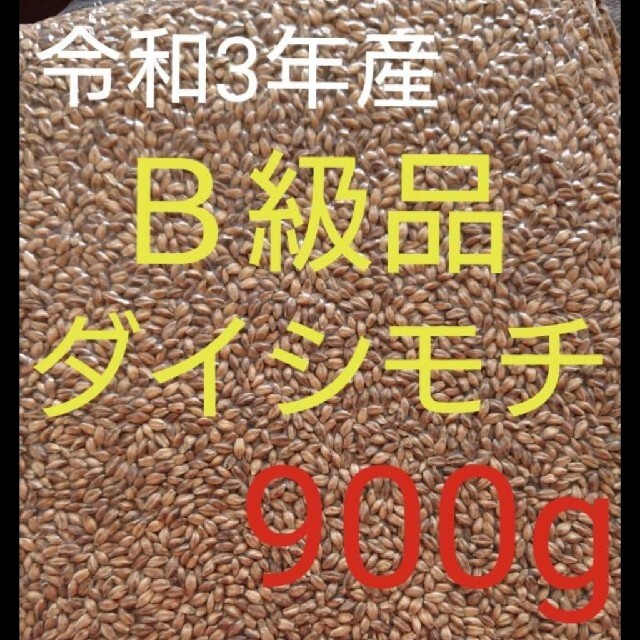 令和3年産 ダイシモチ 玄麦 食品/飲料/酒の食品(米/穀物)の商品写真