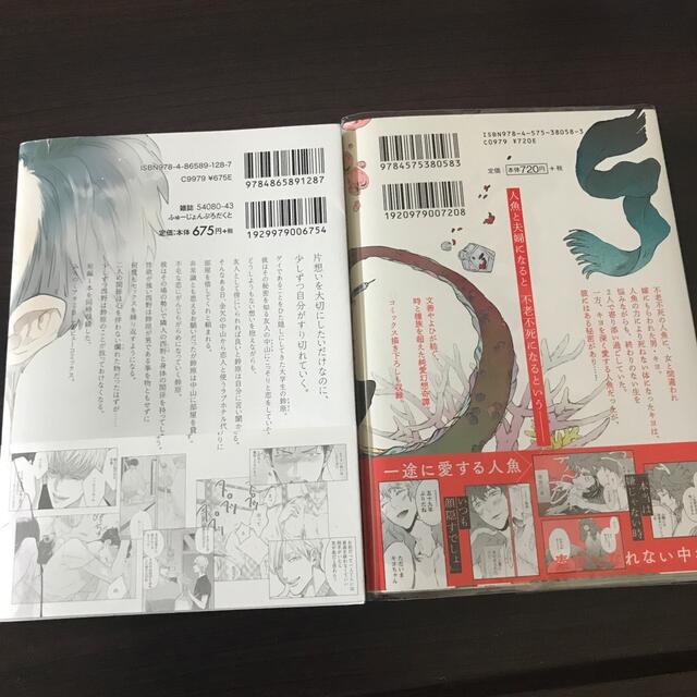 「こっちむいて、愛」「わだつみの嫁取り」 エンタメ/ホビーの漫画(ボーイズラブ(BL))の商品写真