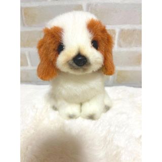 ☆童心☆日本製子ぬいぐるみ　キャバリア　座り☆新品未使用♪(ぬいぐるみ)