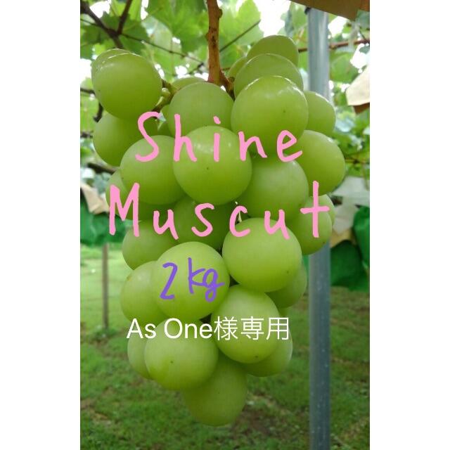 ★As One★シャインマスカット 2キロ箱