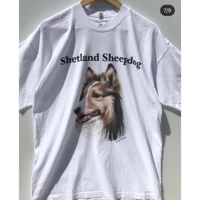 NIKE(ナイキ)の新品　未使用　DOG t USA製　ビッグ　T ゆったりめ　gray メンズのトップス(Tシャツ/カットソー(半袖/袖なし))の商品写真