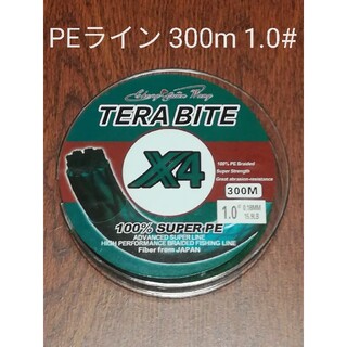 TERABAIT PEライン(4本編み),300m巻,1.0#(釣り糸/ライン)