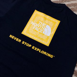 ザノースフェイス(THE NORTH FACE)の美品　ノースフェイス　Tシャツ　バンダナ(Tシャツ/カットソー(半袖/袖なし))