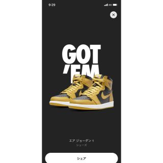 ナイキ(NIKE)のNIKE AIR JORDAN 1 RETRO HIGH OG POLLEN(スニーカー)