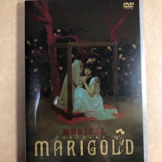 ミュージカル『マリーゴールド』 DVD(舞台/ミュージカル)