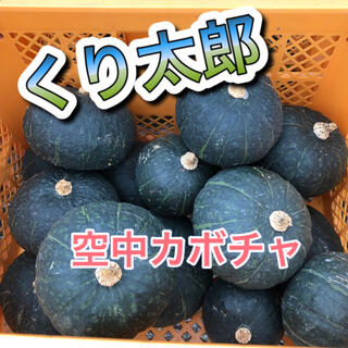 農家直送☆空中カボチャ くり太郎 60サイズ約2kg(野菜)