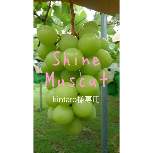 ★kintaro★ シャインマスカット 4キロ箱