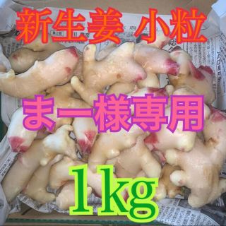 新生姜　小粒(まー様専用2kg)(野菜)