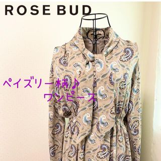 ローズバッド(ROSE BUD)のローズバッド　ペイズリー柄2wayロングワンピース(ロングワンピース/マキシワンピース)