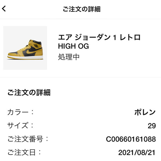 NIKE AIR JORDAN 1 RETRO HIGH OG pollen 3