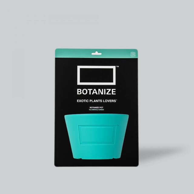 MEDICOM TOY × BOTANIZE Pot EMERALD GREEN