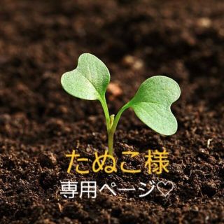 たぬこ様専用ページ💓(野菜)