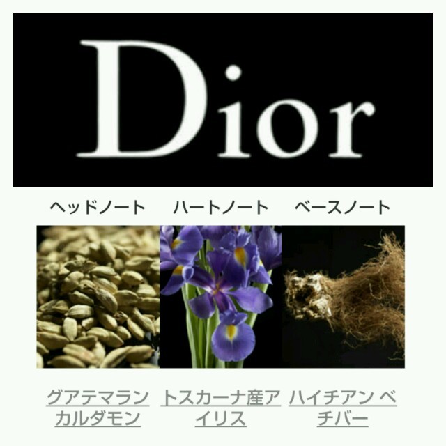 Dior(ディオール)のディオールオムオードゥトワレ コスメ/美容の香水(ユニセックス)の商品写真