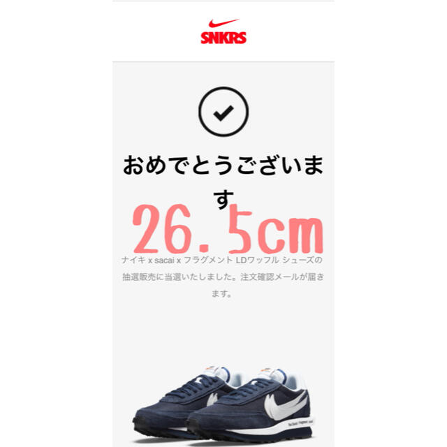 NIKE(ナイキ)のフラグメント × サカイ × ナイキ LD ワッフル メンズの靴/シューズ(スニーカー)の商品写真