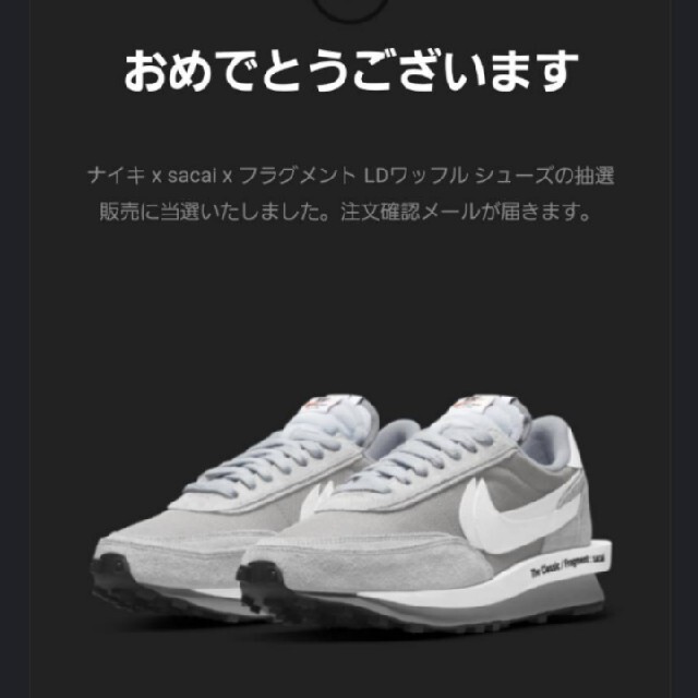 sacai(サカイ)のNIKE サカイ フラグメント 27.5cm  メンズの靴/シューズ(スニーカー)の商品写真