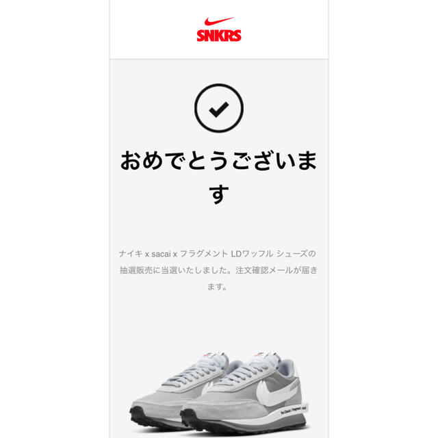 靴/シューズNIKE ナイキ LDワッフル × sacai × Fragment