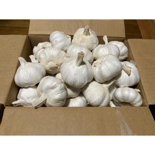 福岡県産 ニンニク 中球(M球程度) 2kg にんにく(野菜)