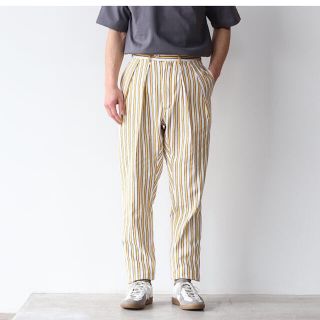 NEAT LAL Stripe Tapered 44(スラックス)