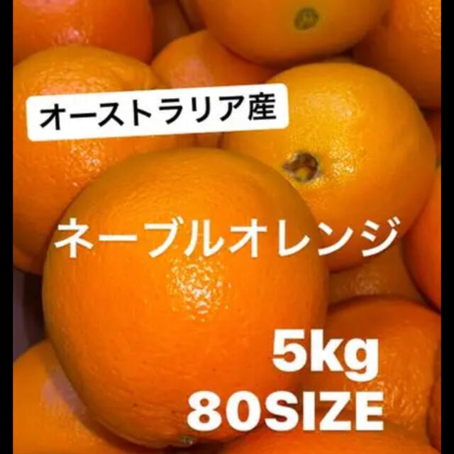 ☆超お買い得オーストラリア産ネーブルオレンジ☆(訳あり激安！)  食品/飲料/酒の食品(フルーツ)の商品写真