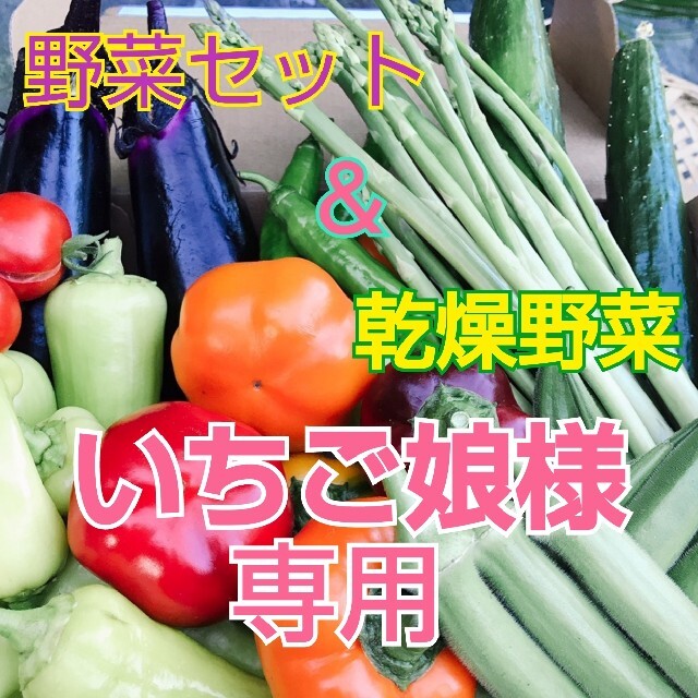 新鮮野菜 60サイズいっぱいの野菜と乾燥野菜のセット   食品/飲料/酒の食品(野菜)の商品写真