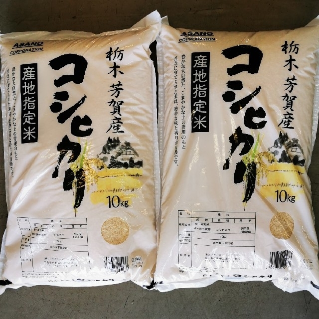 栃木産　コシヒカリ米/穀物