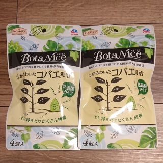 アースセイヤク(アース製薬)の土からわいたコバエ退治 粘着剤タイプ 2セット(その他)