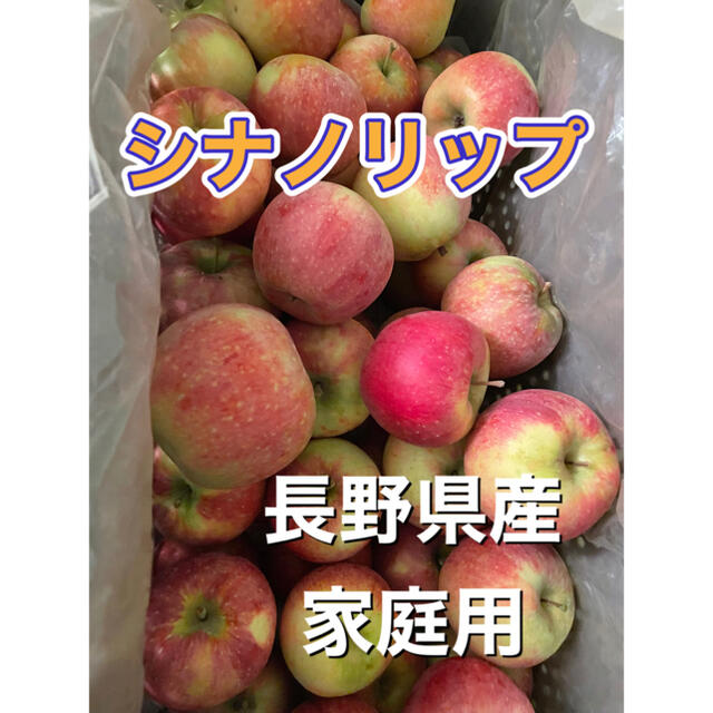 シナノリップ　家庭用　５キロ　長野県産　減農薬　化学肥料不使用　送料無料 食品/飲料/酒の食品(フルーツ)の商品写真