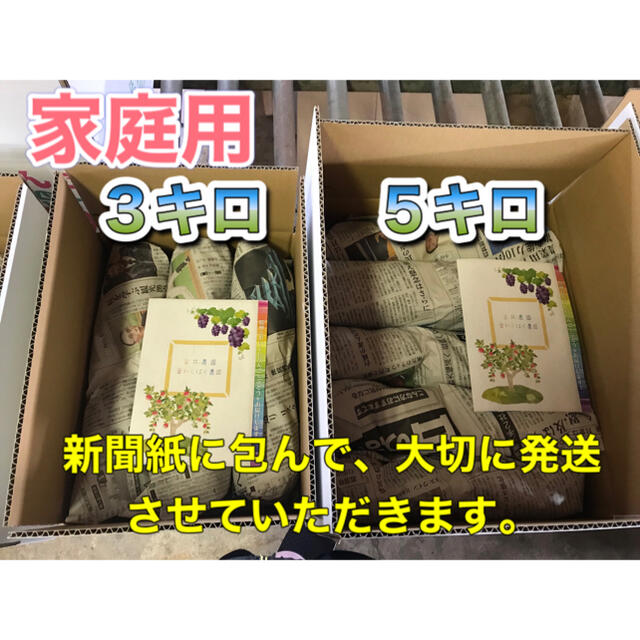 シナノリップ　家庭用　５キロ　長野県産　減農薬　化学肥料不使用　送料無料 食品/飲料/酒の食品(フルーツ)の商品写真