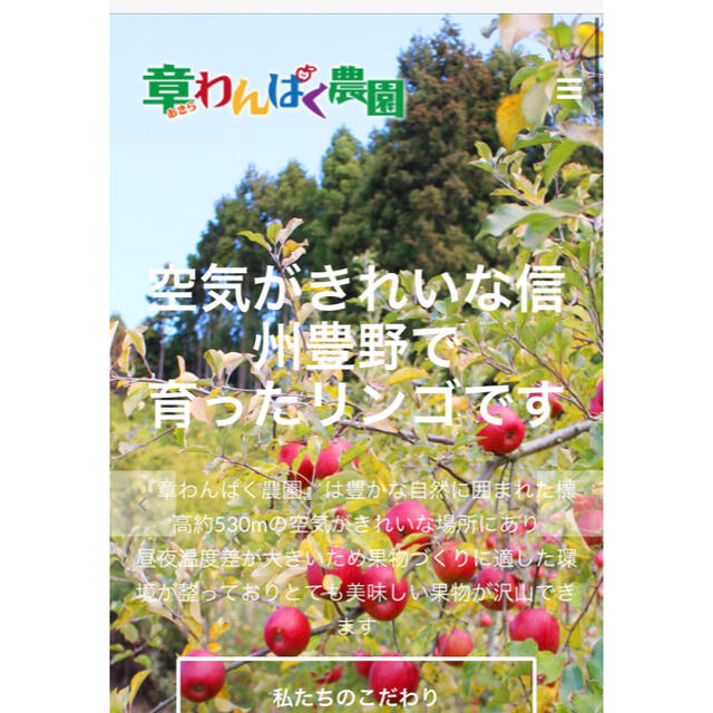 シナノリップ　家庭用　５キロ　長野県産　減農薬　化学肥料不使用　送料無料 食品/飲料/酒の食品(フルーツ)の商品写真