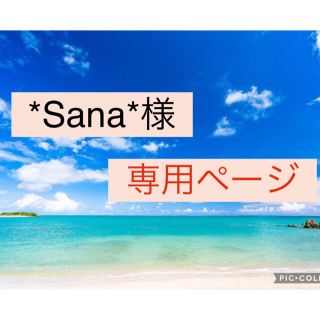 Sana様　専用ページ(その他)