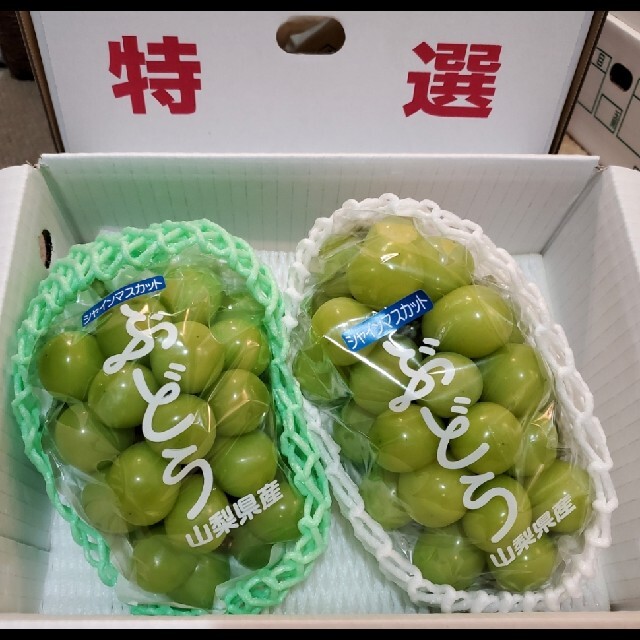 シャインマスカット 山梨県産 2房 大房 食品/飲料/酒の食品(フルーツ)の商品写真