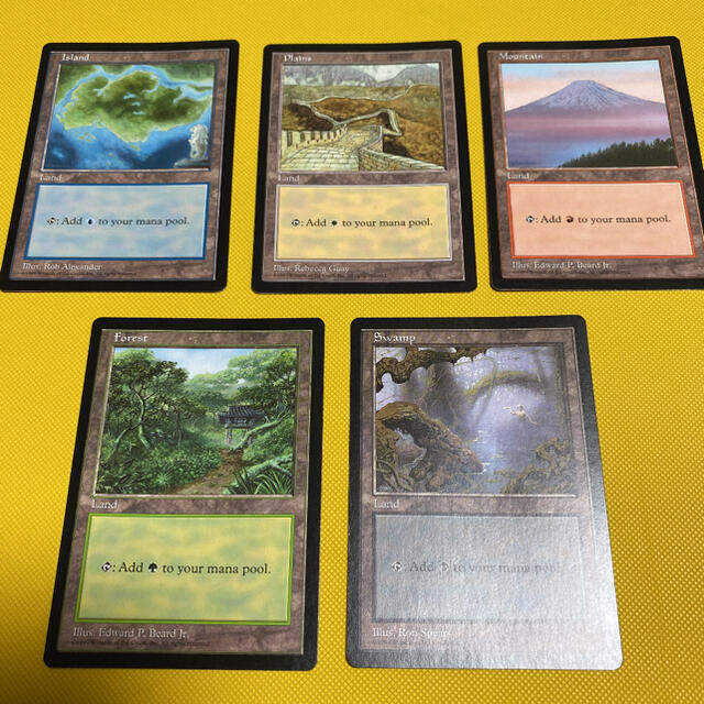 mtg APACランド 未開封5枚セット www.krzysztofbialy.com