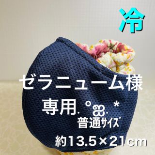 ゼラニューム様専用.°ஐ.*(その他)