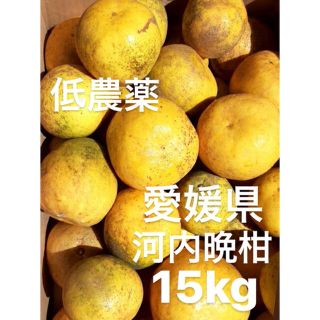 愛媛県産 低農薬 宇和ゴールド 河内晩柑 15kg
