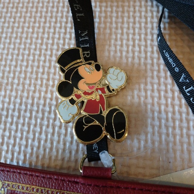 Disney(ディズニー)のディズニーホテルミラコスタ　パスケース エンタメ/ホビーのおもちゃ/ぬいぐるみ(キャラクターグッズ)の商品写真