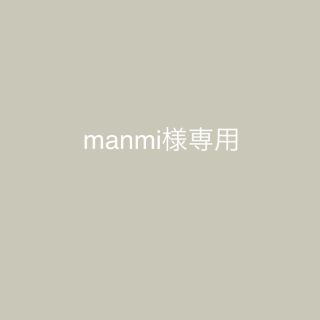 manmi様専用(ポーチ)