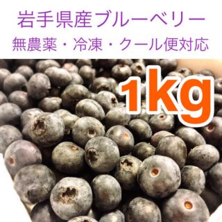 岩手県産ブルーベリー冷凍2kg【無農薬】(フルーツ)