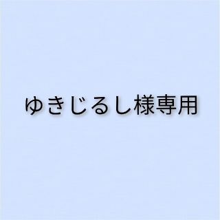 ポケモン(ポケモン)のゆきじるし様専用ページ(ファッション雑貨)