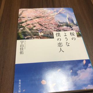 桜のような僕の恋人(文学/小説)