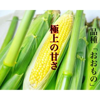 とうもろこし　10本(野菜)