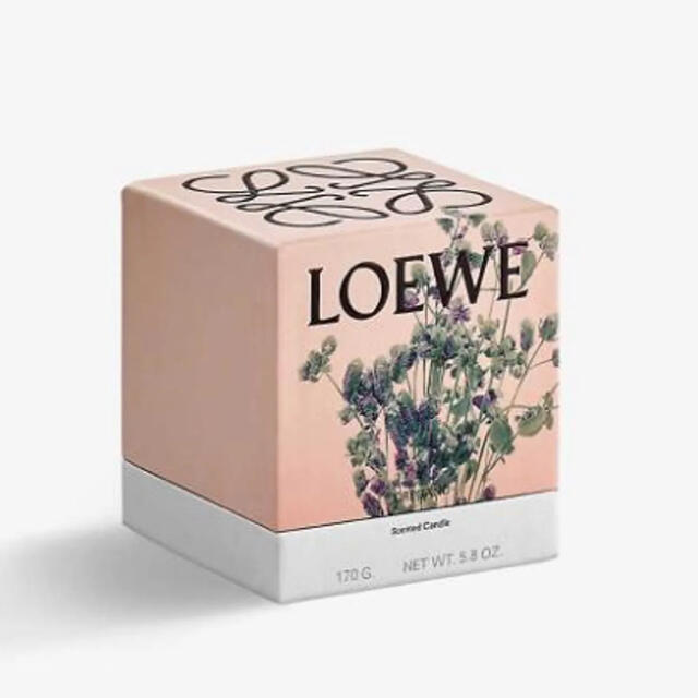 LOEWE(ロエベ)のロエベ  オレガノキャンドル　170g スモールサイズ コスメ/美容のリラクゼーション(キャンドル)の商品写真