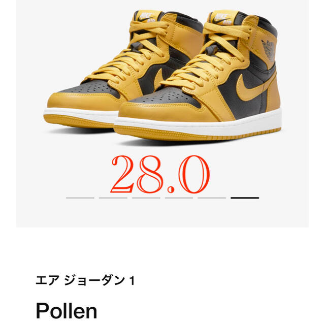 NIKE AIR JORDAN1 POLLEN  28cm